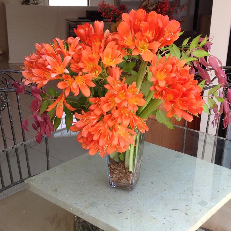 Sea Whispers Bed & Breakfast Kiama Luaran gambar
