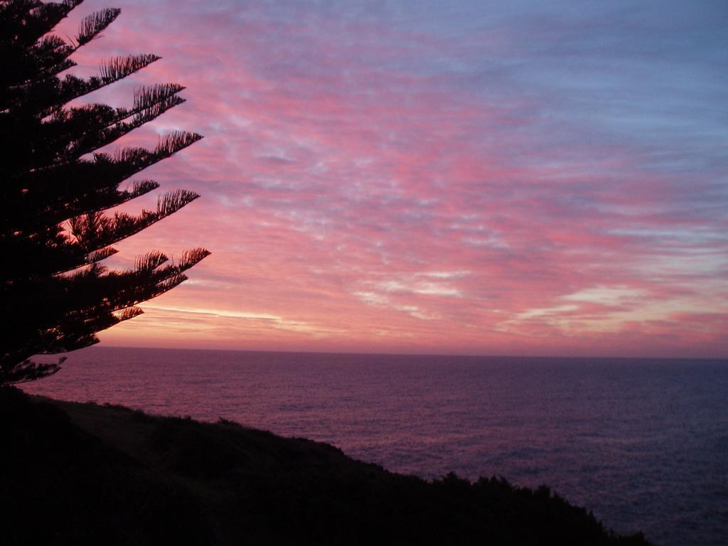Sea Whispers Bed & Breakfast Kiama Luaran gambar