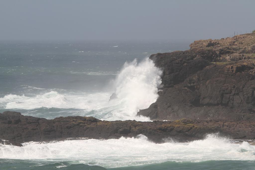 Sea Whispers Bed & Breakfast Kiama Luaran gambar